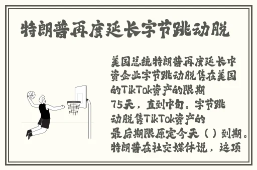 亚欧砖码砖专一2023